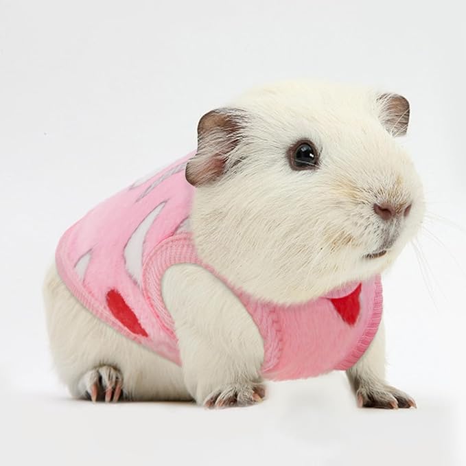 4 Pack Guinea Pig Clothes Rabbit Warm Vest Flannel Fleece Pet Costume T-Shirt for Small Animal Kitten Ferret Chihuahua Puppy (Rainbow, XX-Small)