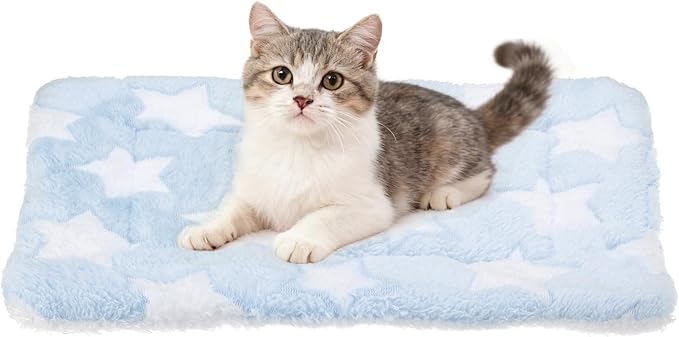 Dog Cat Bed Mat, Soft Coral Fleece Pet Cushion Pad with Cute Stars Print, Warm Washable Pet Bed 13x10 Inches, (Blue), Intended for Medium Small Dog Cat