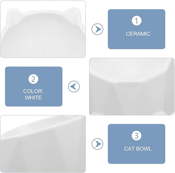 BESPORTBLE Ceramic Elevated Cat Bowl with Anti-Spill Design Wear-Resistant Raised Pet Feeding Bowl for Cats and Small Dogs for Daily Use
