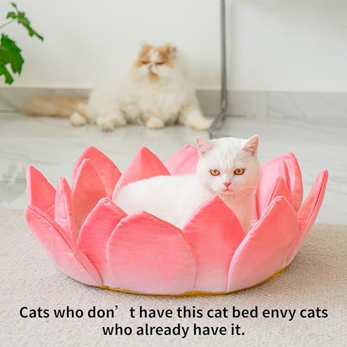 Scratching Board Toy Round Scratching Pad Anti-Scratch Post Corrugated Paper Lounge Bed Scratch Board for Boredom Interactive Toy Nest Bed Pet Supplies for Cats Furniture (Nest with Accessories)