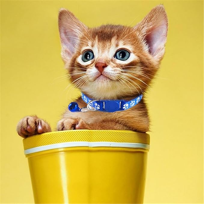 Breakaway Kitten Collar with Bells, 2 Pack Light Blue Break Away Cat Collar with Bells, Cat Collar for Boy Cats Kitty