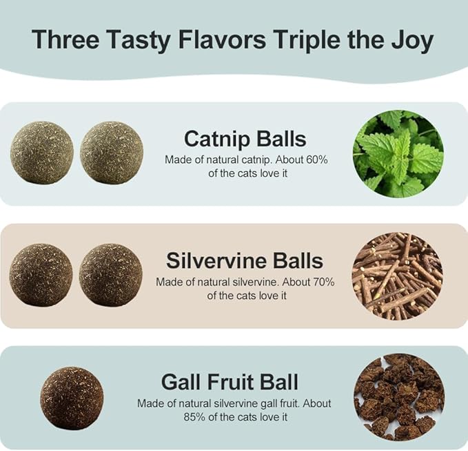Natural Catnip Toys for Indoor Cats Interactive Cat Nip Balls, 5Pcs, 2 Catnip, 2 Silvervine, and 1 Gall Fruit Ball
