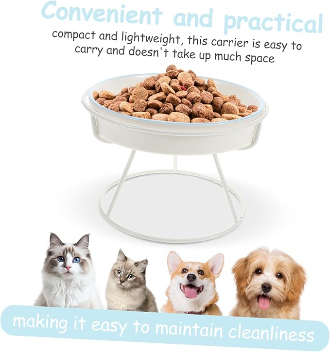 Abaodam Elevated Ceramic Cat Bowl Kitten Slow Feeder Pet Food Dish for Indoor Cats