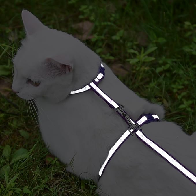 KOOLTAIL Cat Harness and Leash Set, Escape Proof Adjustable Kitten Harness for Walking Travel, Safe & Easy Control Outdoor, Lightweight Soft Pet Harness for Small Medium Large Cats, Purple