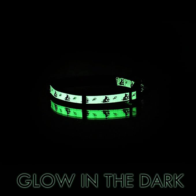 Pawtitas Glow in the Dark Cat Collar with Breakaway Safety Buckle & Bell Adjustable Kitten Collar, Set of 2 GID Teal/Orange