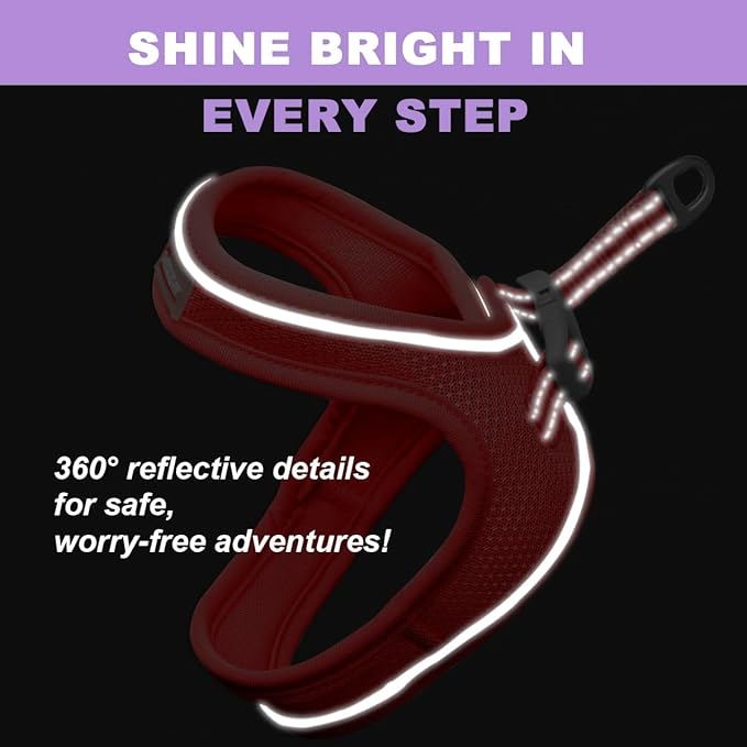 Cat Harness and Leash Set,Escape Proof Kitten Harness,Step in Adjustable Soft Lightweight,Easy Control,Reflective Strips Comfortable for Walking Travel(Red,XXS)