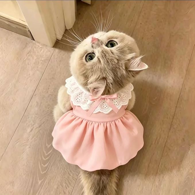 Pet Pumpkin Princess Dress for Small Dogs Cats, Breathable Polyester Lace Skirt, Adjustable Strap Sleeveless Puppy Kitten Outfit for Ragdoll Yorkie Maltese, Spring Summer Sweet Costume(Pink, Medium)