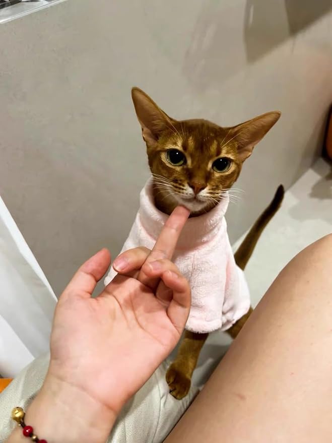 Sphynx Cat Clothes Winter Turtleneck Soft Coral Fleece Cat Clothes Thicken Warm Pajamas Coat for Hairless Cats and Small Cat Apparel with Sleeves (Light Pink, XL (9.3-12.7lbs)