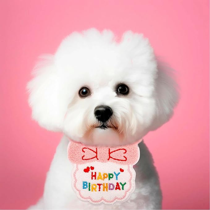 Cat Birthday Party Supplies - Cat Birthday Bandana Scarf & Party Hat (Pink, 4.33" x 5.51")
