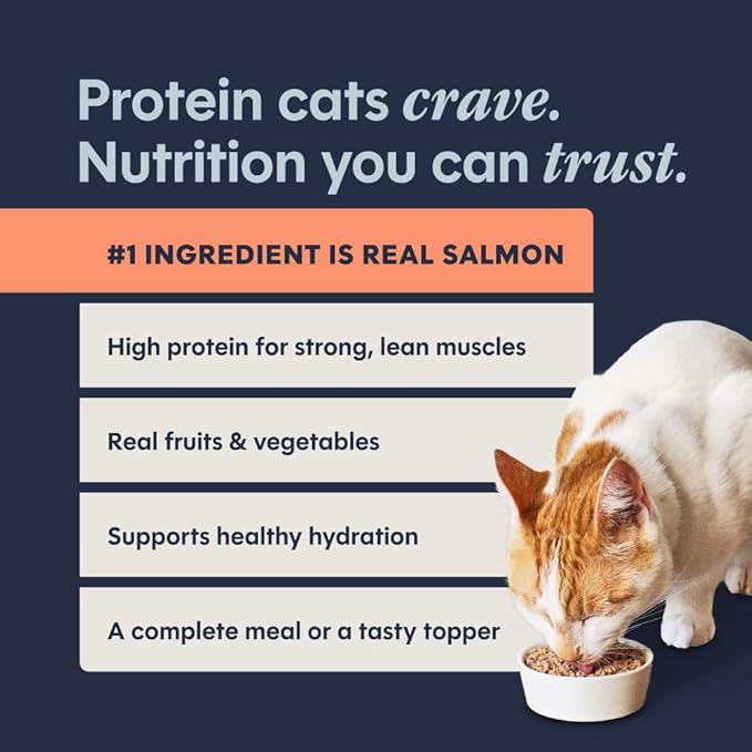 Instinct Pate Entrees, Wet Canned Cat Food, Grain-Free - Real Salmon, 3 oz. Cans (Pack of 24)
