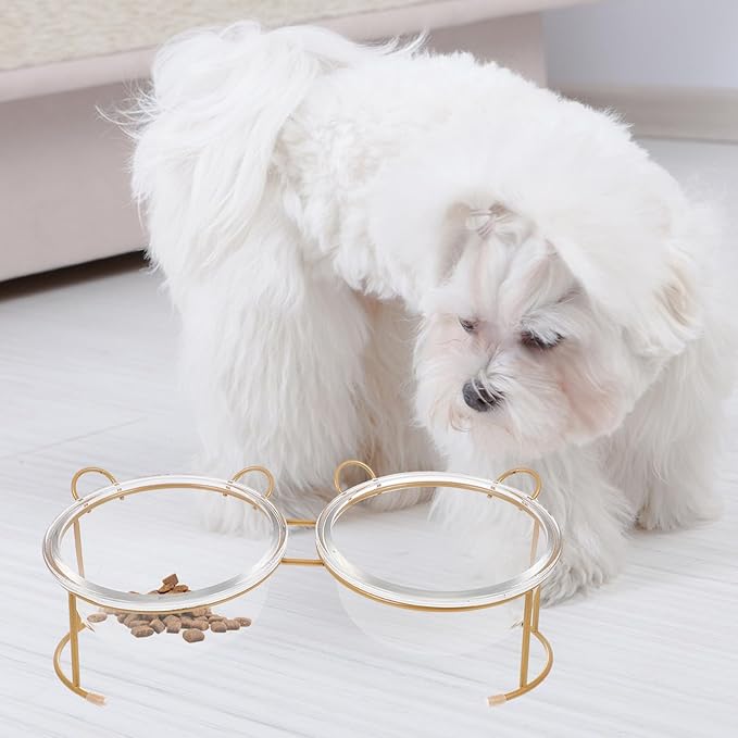 Glass Cat Bowl and Dog Bowl with Bright Gold Iron Stand for Home Feeding and Watering Supplies