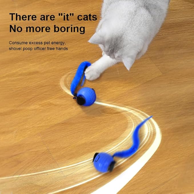 Tri-San Rechargeable Interactive Cat Toys for Bored Indoor Adult Cats - Motion-Activated Engaging Playtime Toys, for Cats (Orange, Blue)