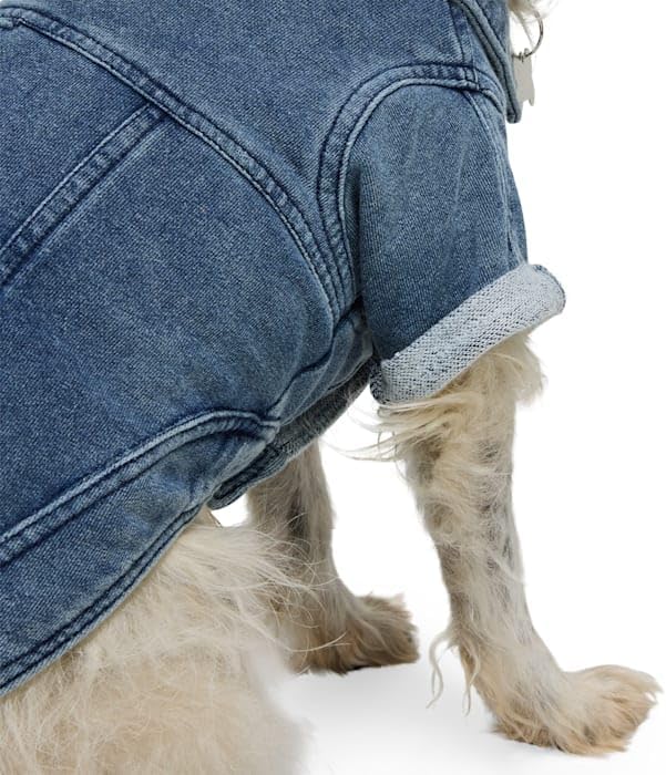 Youly by Petco Denim Pet Jacket, Medium
