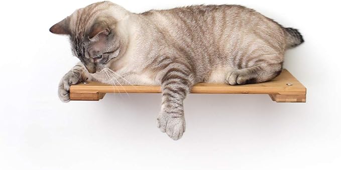 Catastrophic Creations Cat Perch, Mounting Wall Cat Shelves, Strong & Sturdy Onyx Bamboo Wood Cat Tree Floating Shelf, Lounger Cat Shelf, Cat Furniture for Indoor Cats, 18”
