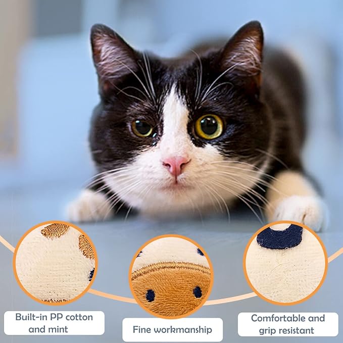Catnip Toys for Indoor Cats Kittens 20 Pack Small Interactive Cat Dental Toy with Catnip Mini Kitty Plush Training Chewing Toys