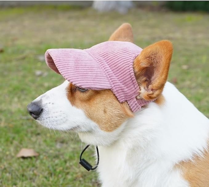 Selena Baseball Cap for Dog Cat with Ear Holes Adjustable Hat Cute Puppy Kitten Pet Outdoor Sun Protection Sport Costume Apparel (Medium,Pink)