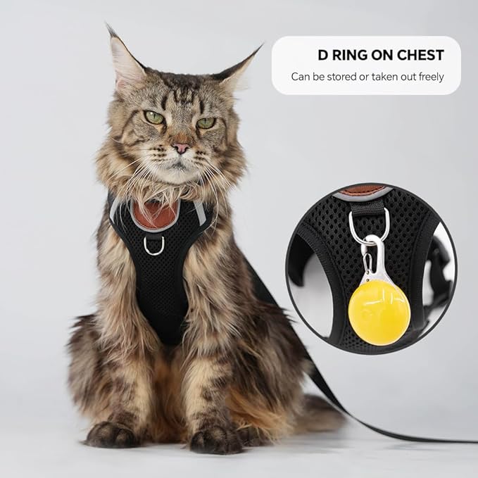 Harness Leash Set with AirTag Holder for Large Cat & Puppy, Upgraded Escape Proof Vest with Lead for Small Dog Outdoor Walking, Soft Breathable Mesh Jacket with Reflective Strip (Black, XL)