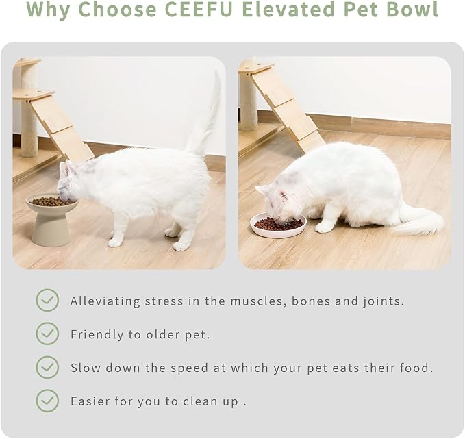 CEEFU Extra Wide Elevated Ceramic Cat Bowl, 6.2" Shallow Dish for Whisker Fatigue Relief, 5" Height for Easy Feeding, Durable Raised Cat Food Bowls, Pack of 2, Pottery Clay (Not Glazed)