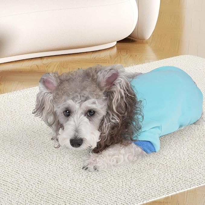Classic Fleece Dog Sweater – Soft & Warm Stretchy Sweatshirt for Small Dogs & Cats, Cold-Weather Pullover for Everyday Wear (Light Blue, X-Small)