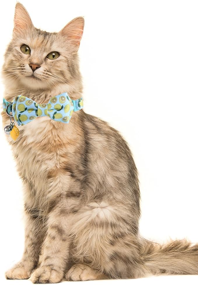Cat Collar Breakaway with Cute Bow Tie Bandana and Bell Fruits Accessories for Kitty Adjustable Safety