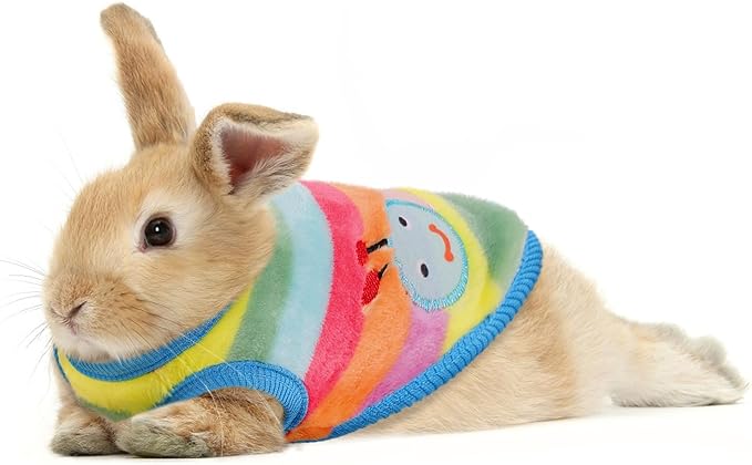 4 Pack Guinea Pig Clothes Rabbit Warm Vest Flannel Fleece Pet Costume T-Shirt for Small Animal Kitten Ferret Chihuahua Puppy (Rainbow, XX-Small)
