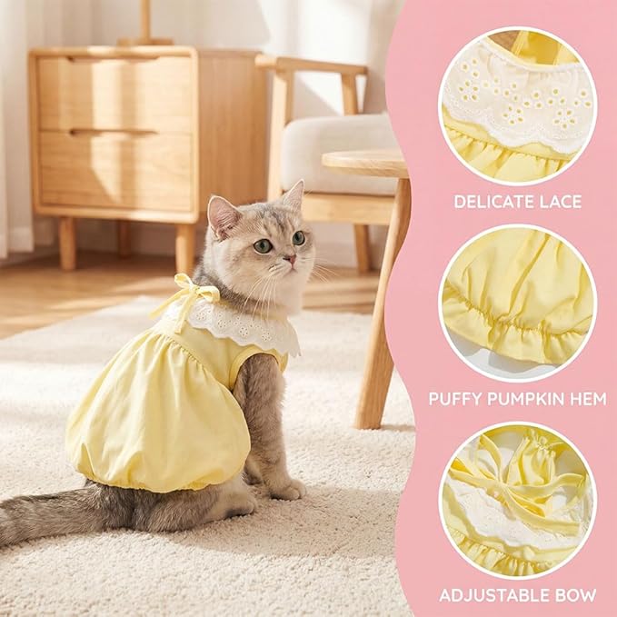 Pet Pumpkin Princess Dress for Small Dogs Cats, Breathable Polyester Lace Skirt, Adjustable Strap Sleeveless Puppy Kitten Outfit for Ragdoll Yorkie Maltese, Spring Summer Sweet Costume (Yellow, Large)