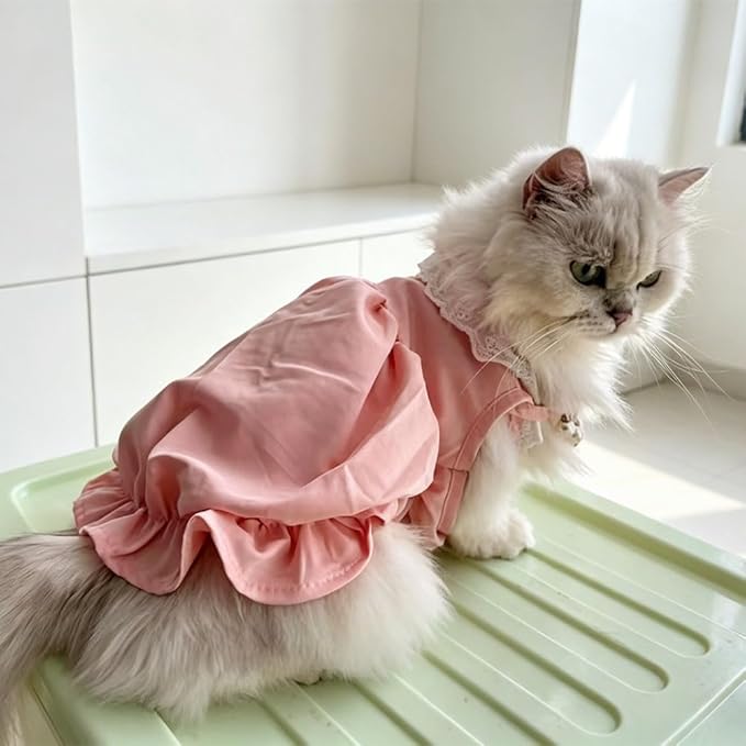 Pet Pumpkin Princess Dress for Small Dogs Cats, Breathable Polyester Lace Skirt, Adjustable Strap Sleeveless Puppy Kitten Outfit for Ragdoll Yorkie Maltese, Spring Summer Sweet Costume(Pink, Large)