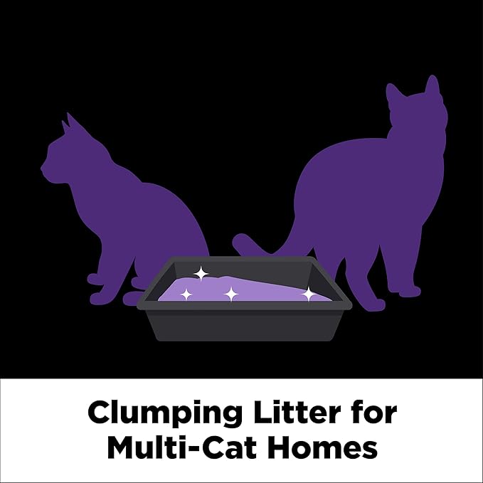 ARM & HAMMER Clump & Seal SLIDE Platinum Multi-Cat Clumping Cat Litter, Easy Clean Technology with No Scrubbing, 14-Day Odor Control, 37 lbs