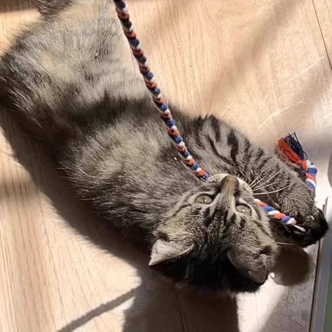 IUHKBH Cat Wands, 4 PCS Colorful Rope Cat Toys Flexible Teaser Wands Interactive Kitten String Wands, Safe Kitty Toys for Indoor