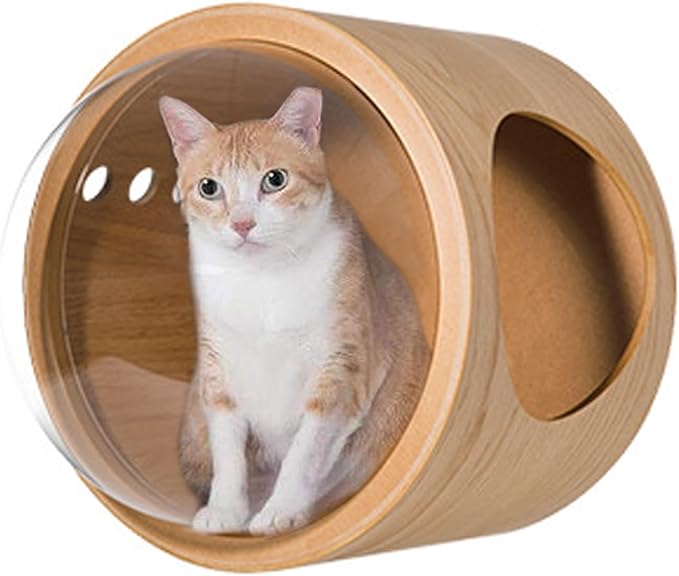 Round Cat Wall Furniture Wall Shelves for Cats Wood Transparent Capsule Breathable for Indoor Large Small Kitten