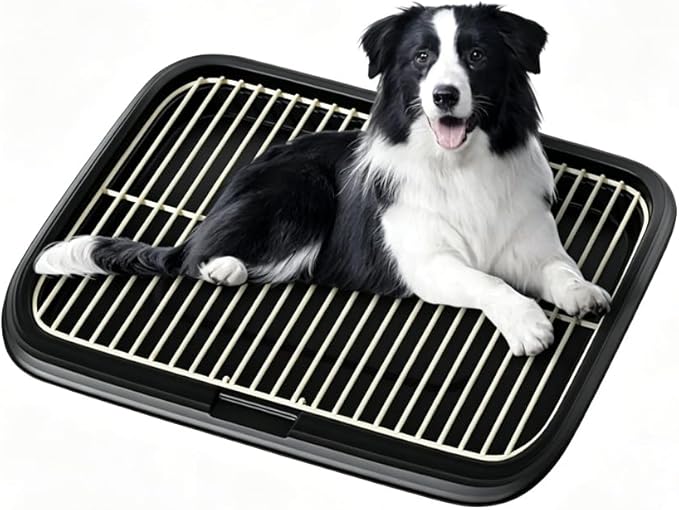Dog Potty Tray Indoor Pet Pee Pad Holder for Small & Medium Dogs, Puppy Training Pad Holder, Pet Toilet Litter Box, Dog Bathroom Tray, Housebreaking Potty Supplies 17.72''LX12.99''WX1.97''H(Black)