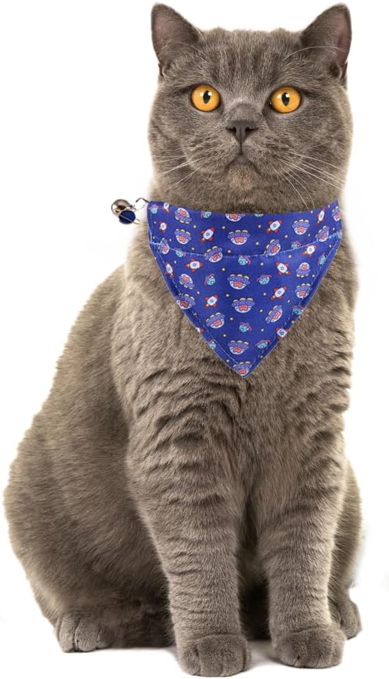 Cat Collar Breakaway with Cute Bandana and Bell Accessories for Kitty Adjustable Safety