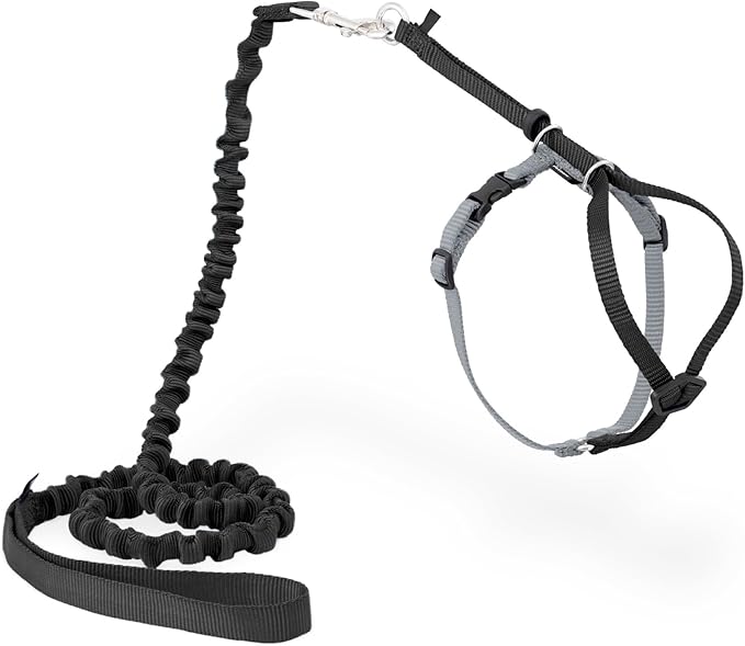 PetSafe Come with Me Kitty Harness and Bungee Leash Adjustable, Lightweight Harness for Cats Medium, Black