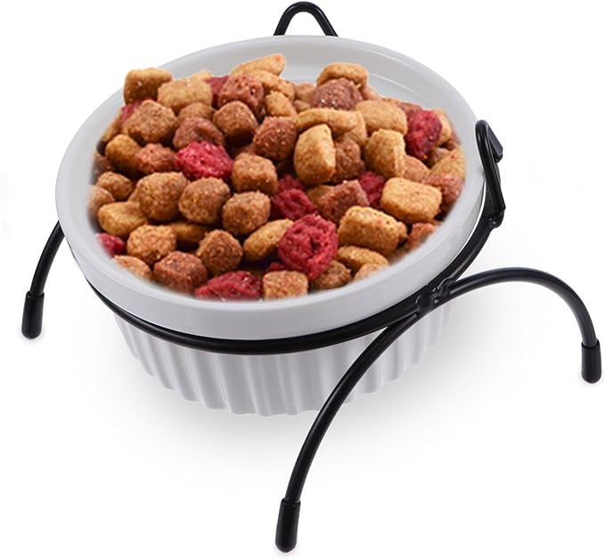 Ceramic Cat Bowl with Raised Black Metal Stand, Whisker-Friendly High Base Pet Food and Water Bowls Set for Cats, Neck Protection Elevated Feeder for Indoor Use