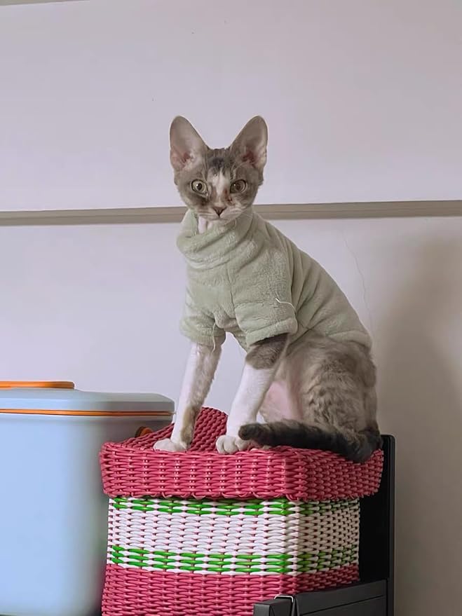 Sphynx Cat Clothes Winter Turtleneck Soft Coral Fleece Cat Clothes Thicken Warm Pajamas Coat for Hairless Cats and Small Cat Apparel with Sleeves (Forest Green, XL (9.3-12.7lbs)