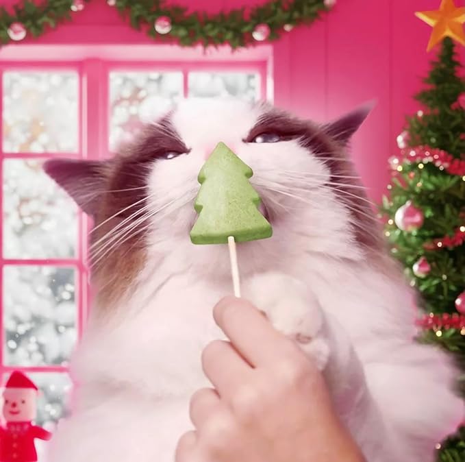 Bonkers Purrpops Limited Edition Christmas Themed Chicken Flavor Freeze-Dried Licks Cat Treats Catnip & Turkey Flavor - 1 Pack of 5 Units with Cat Spring Toys