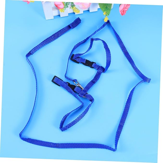 Pet Cat Harness and Leash Nylon Cat Collar with Traction Rope for Safe Outdoor Exploration Lightweight and Comfortable for Kittens Blue