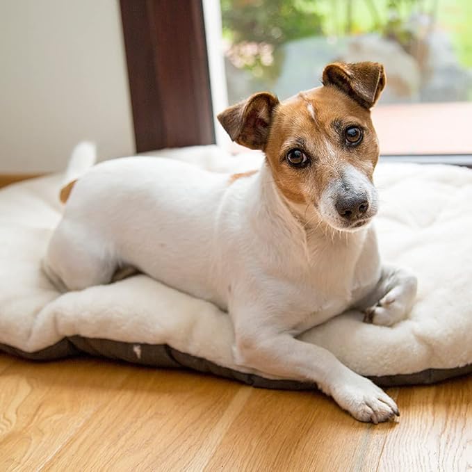 Ferplast Cat Bed, Dog Bed Medium Washable Pet Mat Cushion in Cotton with Soft Padding, 65 x 42 cm. Brown