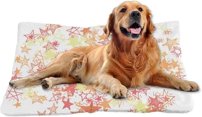 Celestial Pattern Dog Crate Pads Washable Dog Bed Mat Mat for Sofa Reusable Bed Non- Slip Bottom Furniture for Dogs Multi- Scenario Car Gift Printed Cat Pads 36× 24 Inch