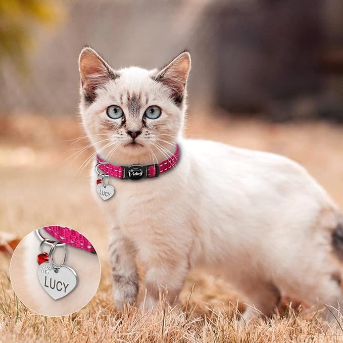 Quick Release Cat Collar Reflective Cat Collars Personalized Puppy Collars for Small Dog Cats Kitten Doggy Rose XS