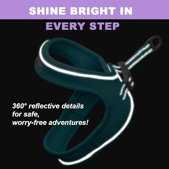 Cat Harness and Leash Set,Escape Proof Kitten Harness,Step in Adjustable Soft Lightweight,Easy Control,Reflective Strips Comfortable for Walking Travel(Ocean Blue,XXXS)