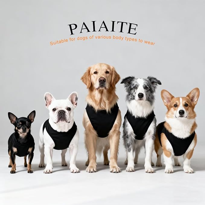 Discover Cozy Cotton Canine Wear: Breathable Soft, and Lightweight Dog Shirt Vest with Eye-Catching Graphics(GOD GOT ME), Keeping Your Furry Friend Warm and Comfy! Black L