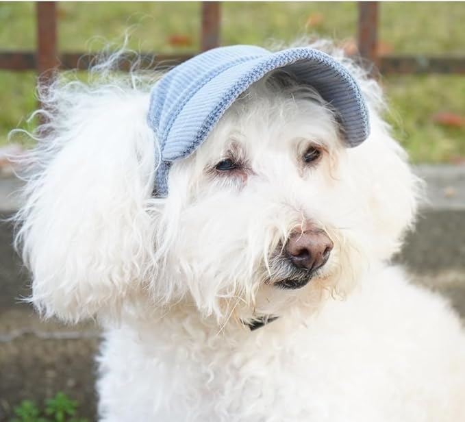 Selena Baseball Cap for Dog Cat with Ear Holes Adjustable Hat Cute Puppy Kitten Pet Outdoor Sun Protection Sport Costume Apparel (Medium,Blue)