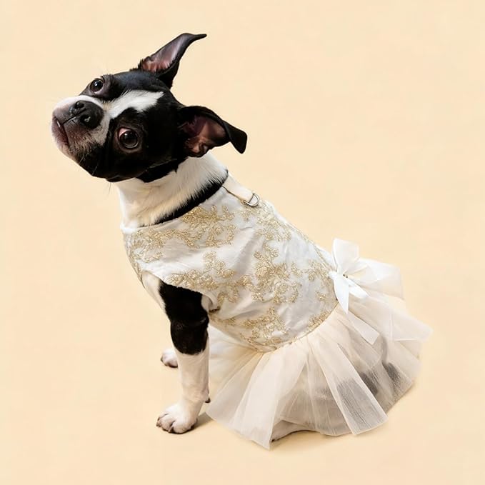 Princess Dog Wedding Dress - Embroidered Gown with Fluffy Tutu Skirt & Leash D-Ring, Formal Party Outfit for Small Dogs & Cats Like Chihuahua Yorkie (White Bow-Princess, Large)