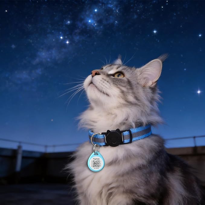 3 Pack Reflective Cat Collars with QR Code ID Tags, Breakaway Safety Nylon Cat Collars with Bell & Charms, Smart Pet ID with Online Profile, Adjustable Kitten Collars, Mixed Colors (3 Collars)