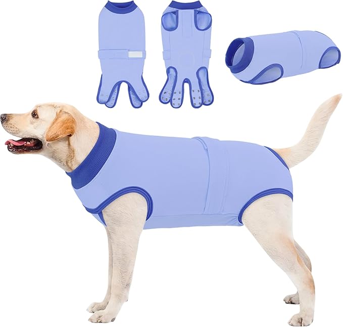 Queenmore Recovery Suit for Dogs, Dog Surgical Recovery Suit Onesie,Anti Licking Pet Female Spayed Neutered Puppy Surgical Clothes for Abdominal Wounds, Substitute E-Collar & Cone, Sky Blue,L