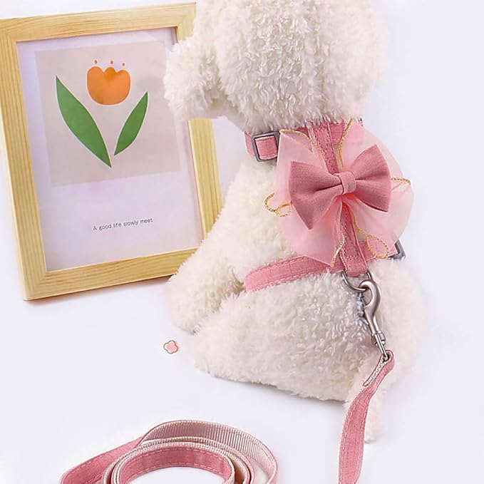 Adjustable Cat Harness with Leash and Bow-Tie, for Small to Medium Cats, Pink (Pink, M)