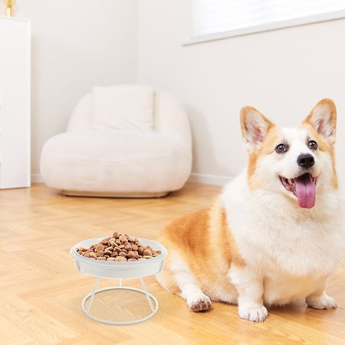 Happyyami Elevated Ceramic Cat Slow Feeder Bowl with Stand, Anti-Choke Slow Food Dish for Indoor Cats and Small Dogs, Blue and White Dual-Color Feeding Station Protecting Pet Spine