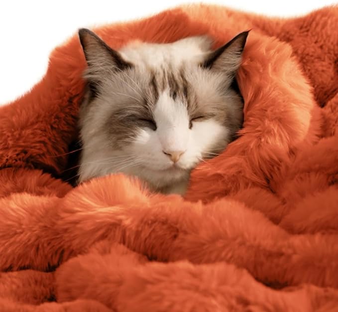 SOMAHE Cat Blanket, Reversible Sherpa & Bubble Fleece Pet Throw, Ultra-Soft Plush for Indoor Cats, Machine Washable, Anti-Static, Warm & Cozy, 22"×18" Inch Orange