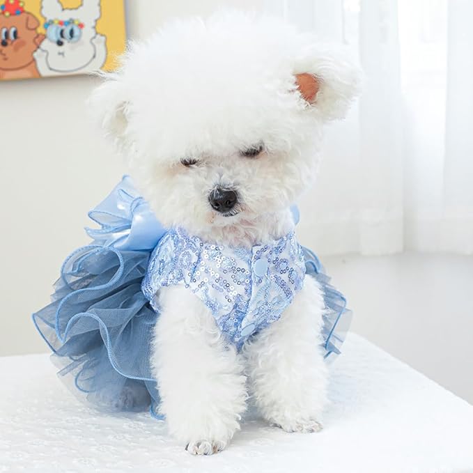ANIAC Blue Cat Wedding Dress and Bow Dog Wedding Outfit Formal Puppy Clothes for Girl Small Dog Luxury Pet Party Dress for Kitten Chihuahua Yorkie Pomeranian (Blue-2, Medium)